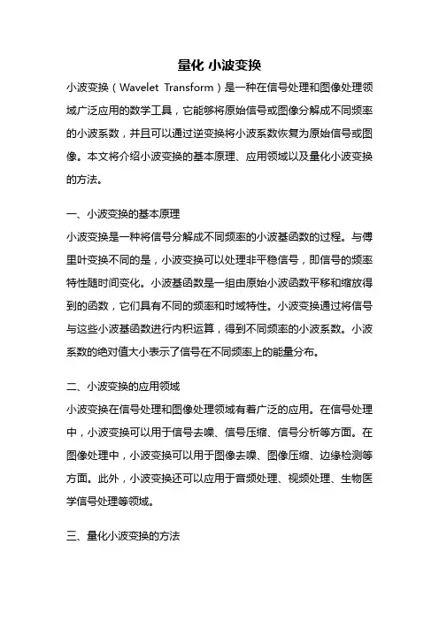 量化 小波变换