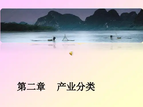 产业分类