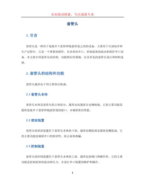 套管头 (2)
