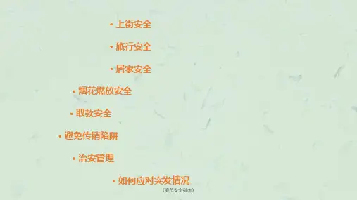 春节安全指南课件