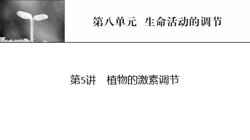 高考生物复习课件 第8单元 生命活动的调节 第5讲植物的激素调节