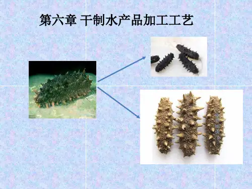 《水产品加工学》教学课件—第6章 干制水产品加工工艺