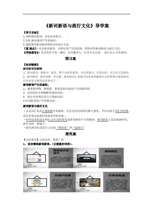 《新词新语与流行文化》-湖北省通山县第一中学高中语文必修一导学案