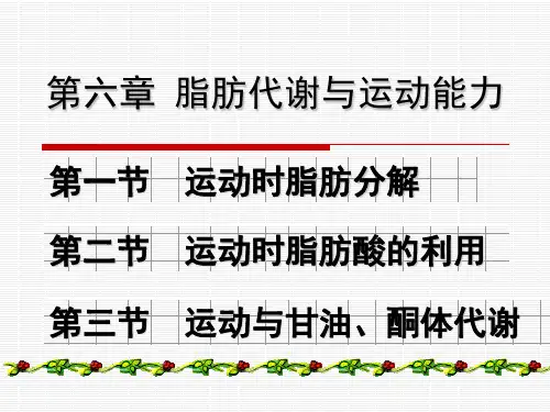 脂肪代谢与运动