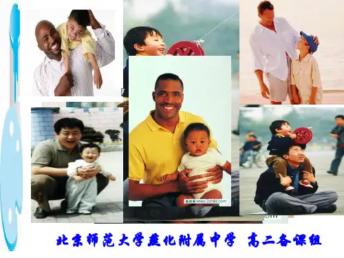 高中英语复习北师大版 拓展阅读：A father and a son  (共17张PPT)