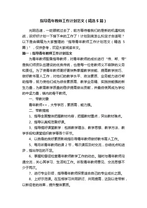 指导青年教师工作计划范文（精选5篇）
