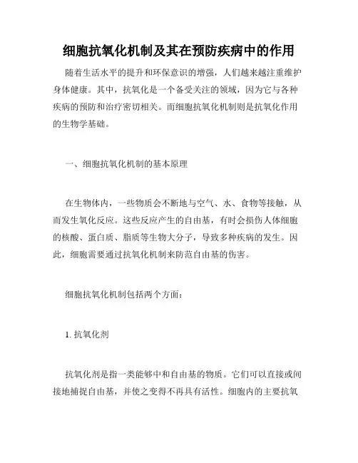 细胞抗氧化机制及其在预防疾病中的作用