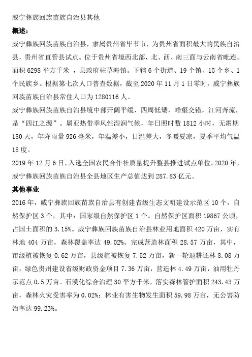 威宁彝族回族苗族自治县其他