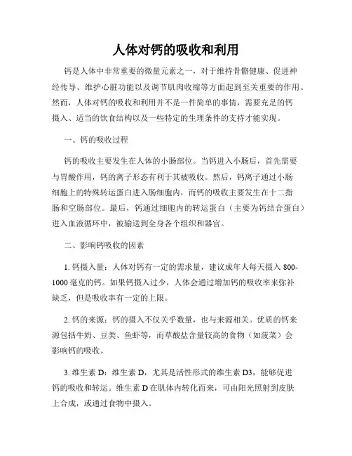 人体对钙的吸收和利用