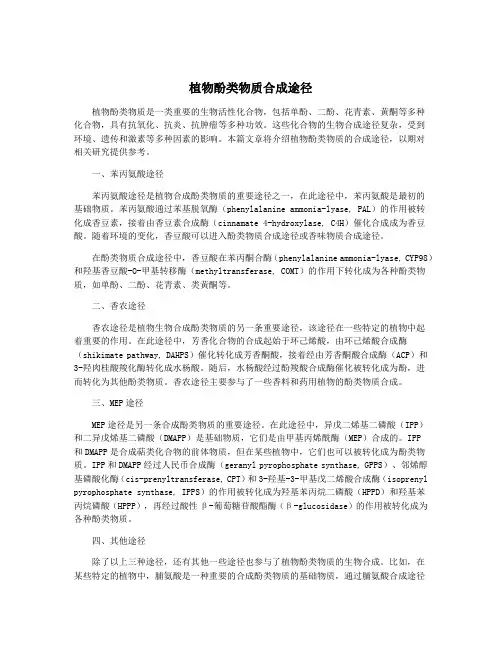 植物酚类物质合成途径