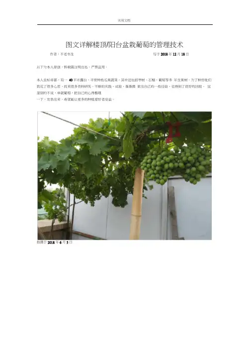 图文详解楼顶阳台盆栽葡萄地管理系统技术