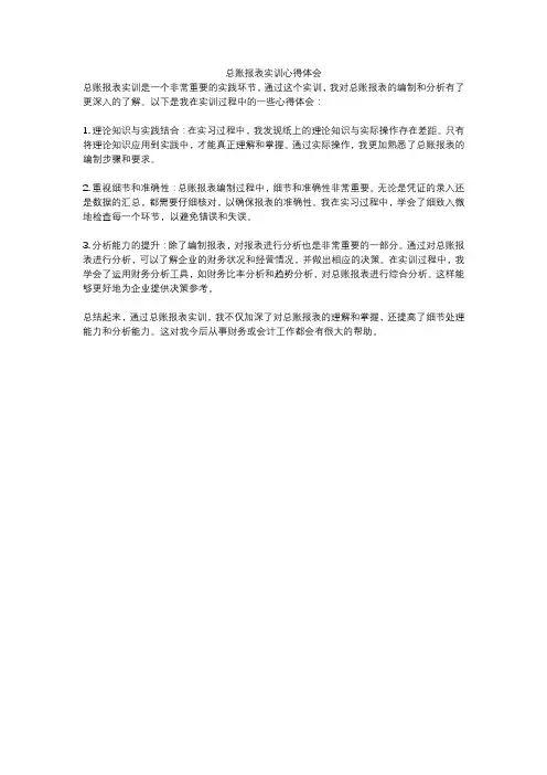 总账报表实训心得体会
