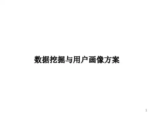 数据挖掘与用户画像方案  ppt课件