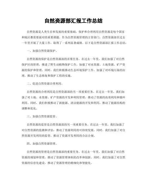自然资源部汇报工作总结