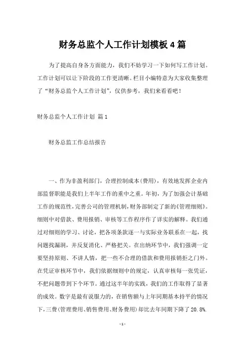 财务总监个人工作计划4篇