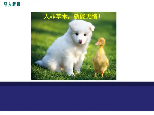 写作学习抒情ppt课件