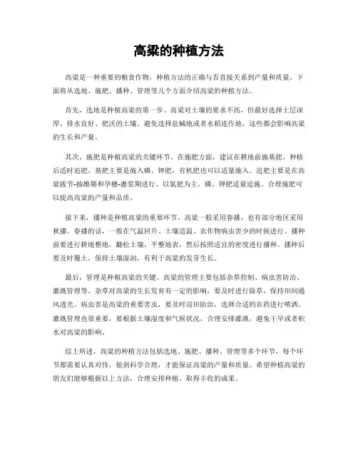 高粱的种植方法