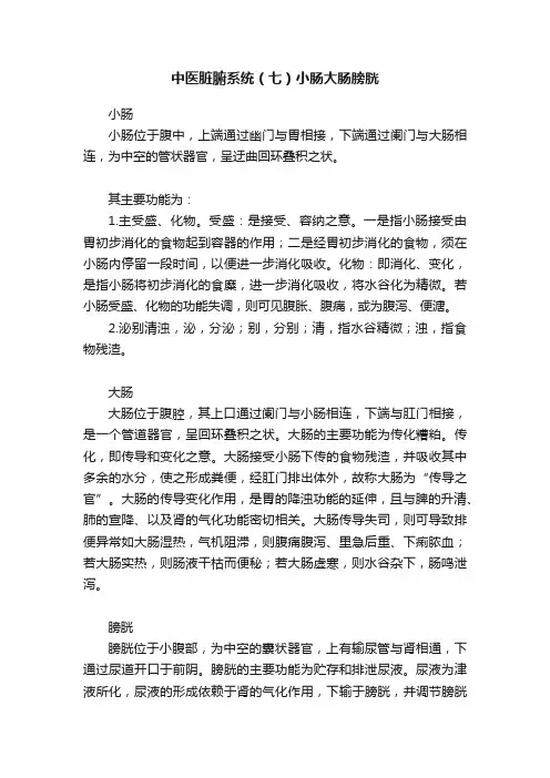 中医脏腑系统（七）小肠大肠膀胱