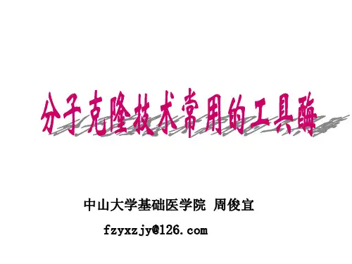 分子克隆中的工具酶
