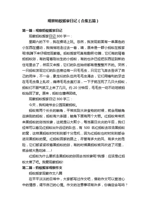 观察蚂蚁搬家日记（合集五篇）