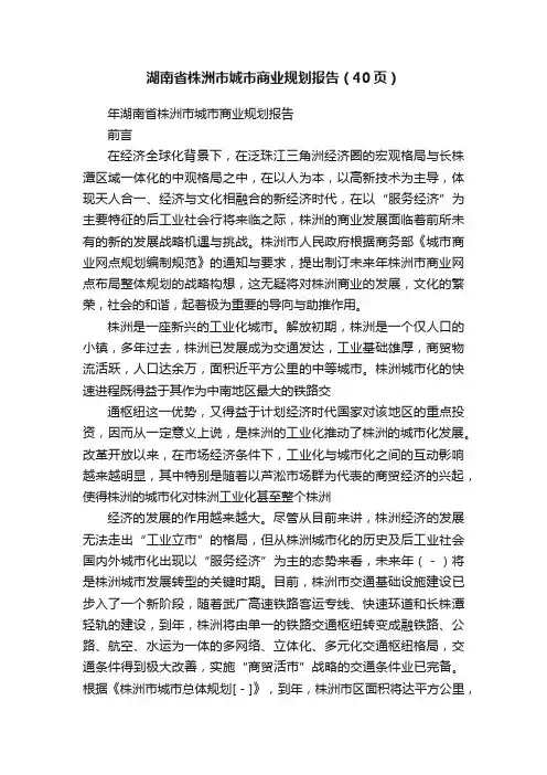 湖南省株洲市城市商业规划报告（40页）