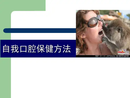 自我口腔保健方法