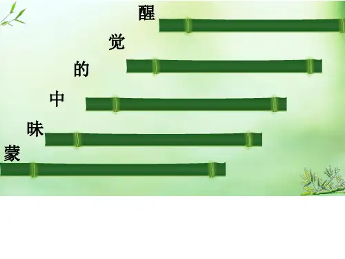 蒙昧中的觉醒ppt6(说课) 人民版