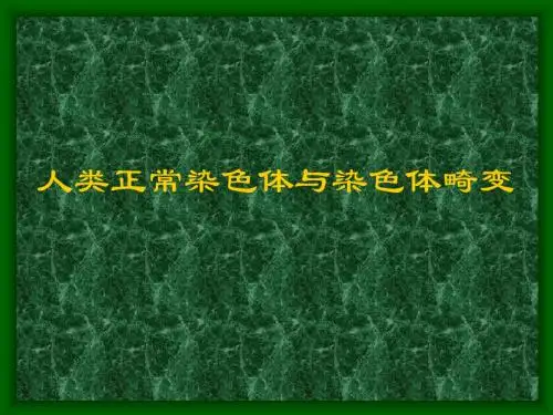 人类正常染色体与染色体畸变.ppt