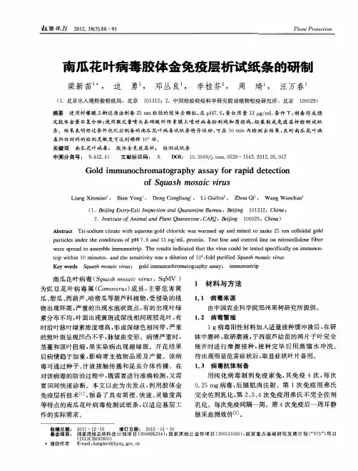 南瓜花叶病毒胶体金免疫层析试纸条的研制