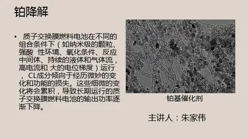 铂催化剂