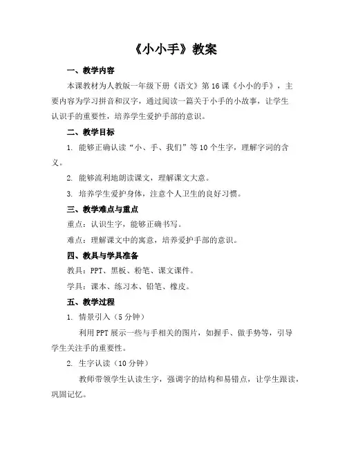 《小小手》教案