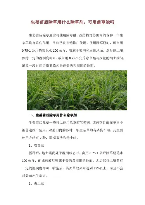 生姜苗后除草用什么除草剂,可用盖草能吗