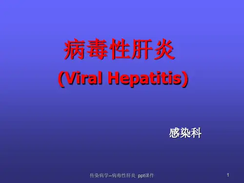 传染病学病毒性肝炎 ppt课件