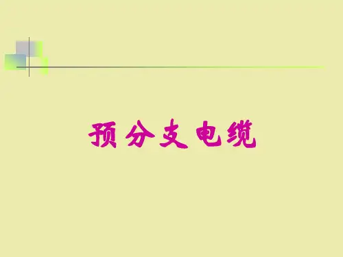 预分支电缆