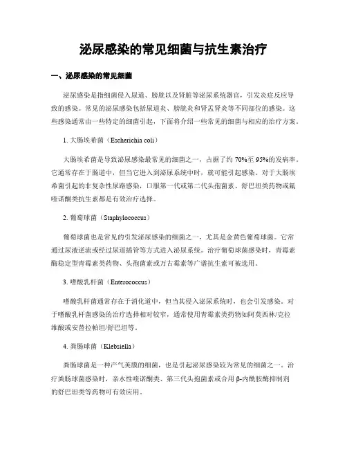 泌尿感染的常见细菌与抗生素治疗