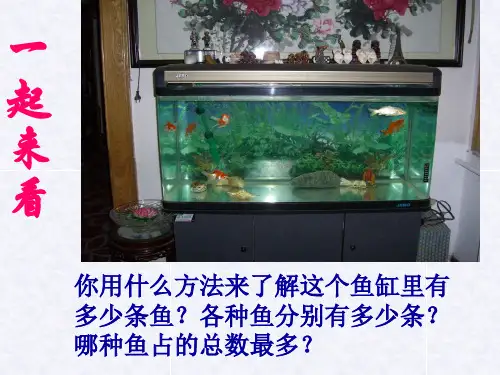 普查与抽样调查.