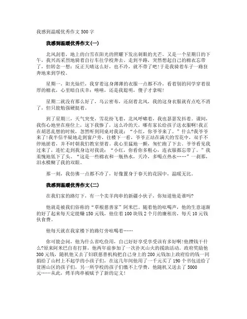 我感到温暖优秀作文500字