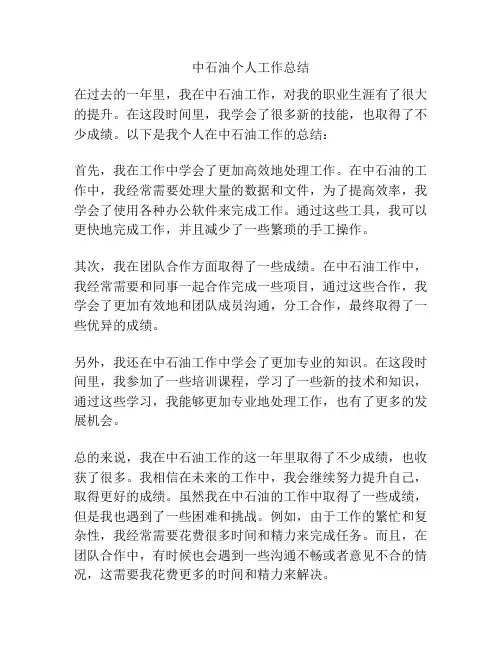 中石油个人工作总结