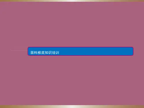 面料基础知识培训-印花工艺ppt课件