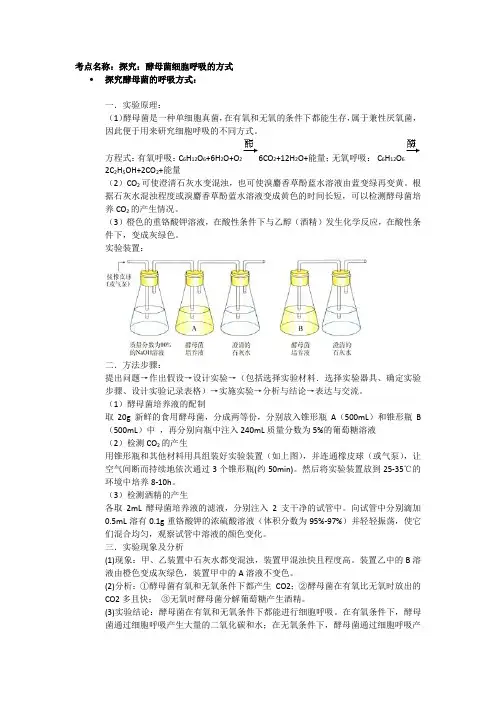 高三生物实验复习 酵母菌的有氧呼吸与无氧呼吸