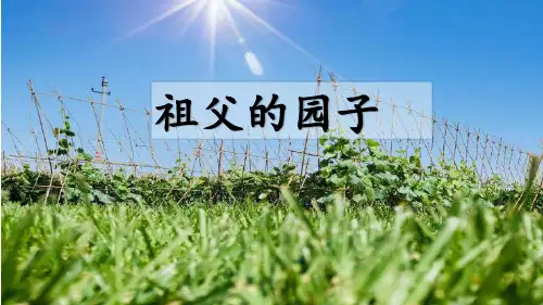 部编版五年级语文下册2祖父的园子课件(共14张PPT)