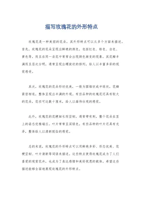 描写玫瑰花的外形特点