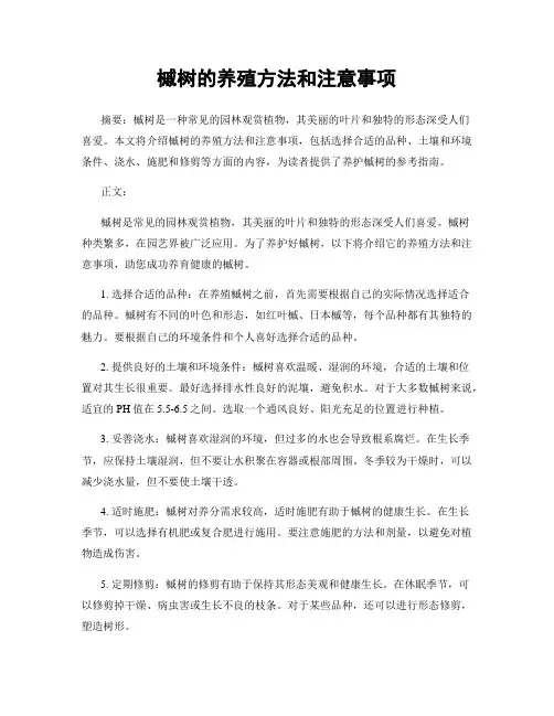 槭树的养殖方法和注意事项