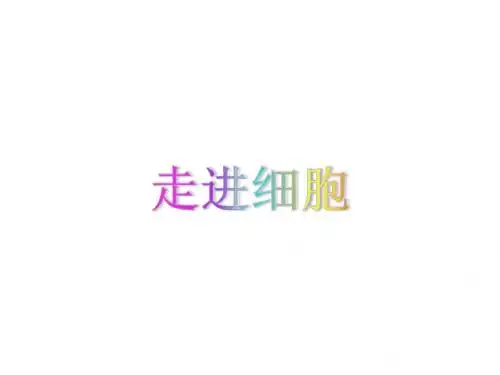 高考生物一轮复习课件：第一讲走进细胞 (共25张PPT)