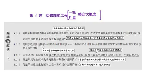 2025年高考生物总复习配套课件第十三单元细胞工程第2讲动物细胞工程