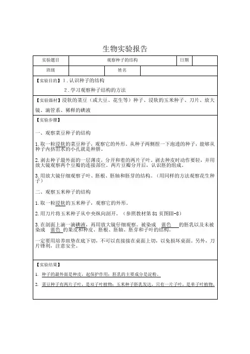 观察种子的结构生物实验报告
