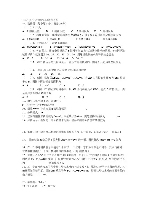 长江作业本九年级数学寒假作业答案