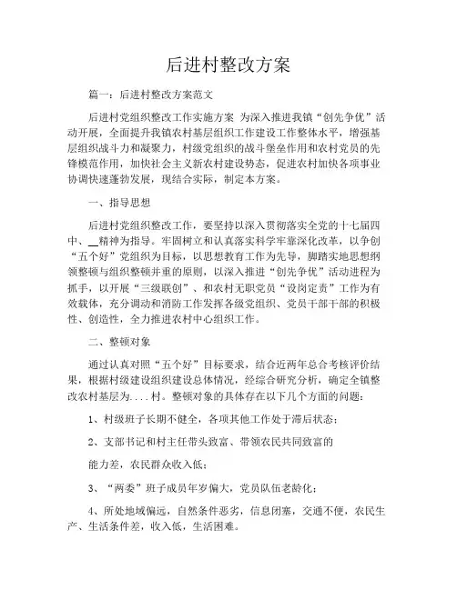 后进村整改方案