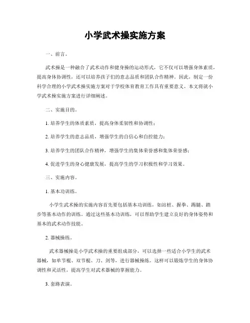 小学武术操实施方案