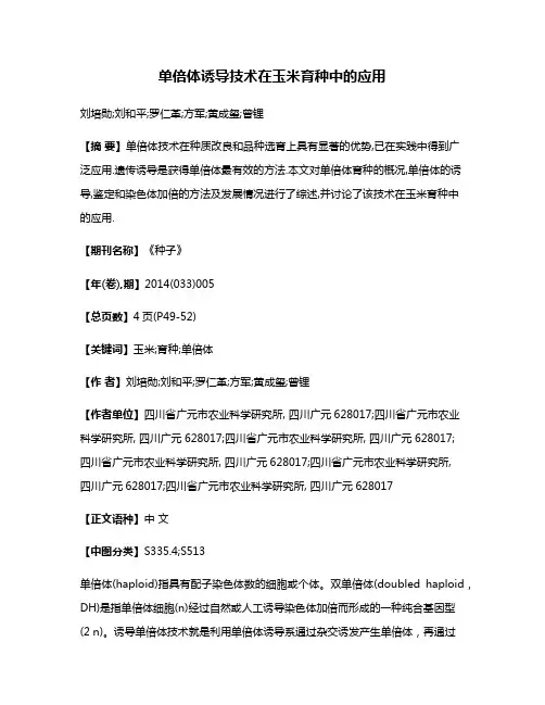 单倍体诱导技术在玉米育种中的应用